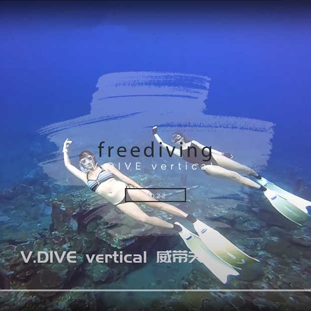 VDIVE freediving2.jpg